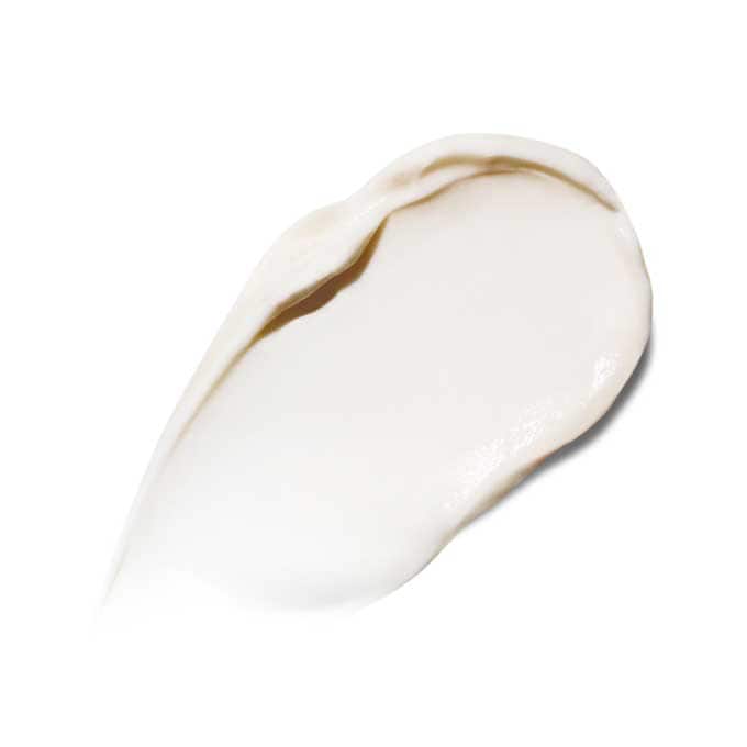 The Rejuvenating Night Cream